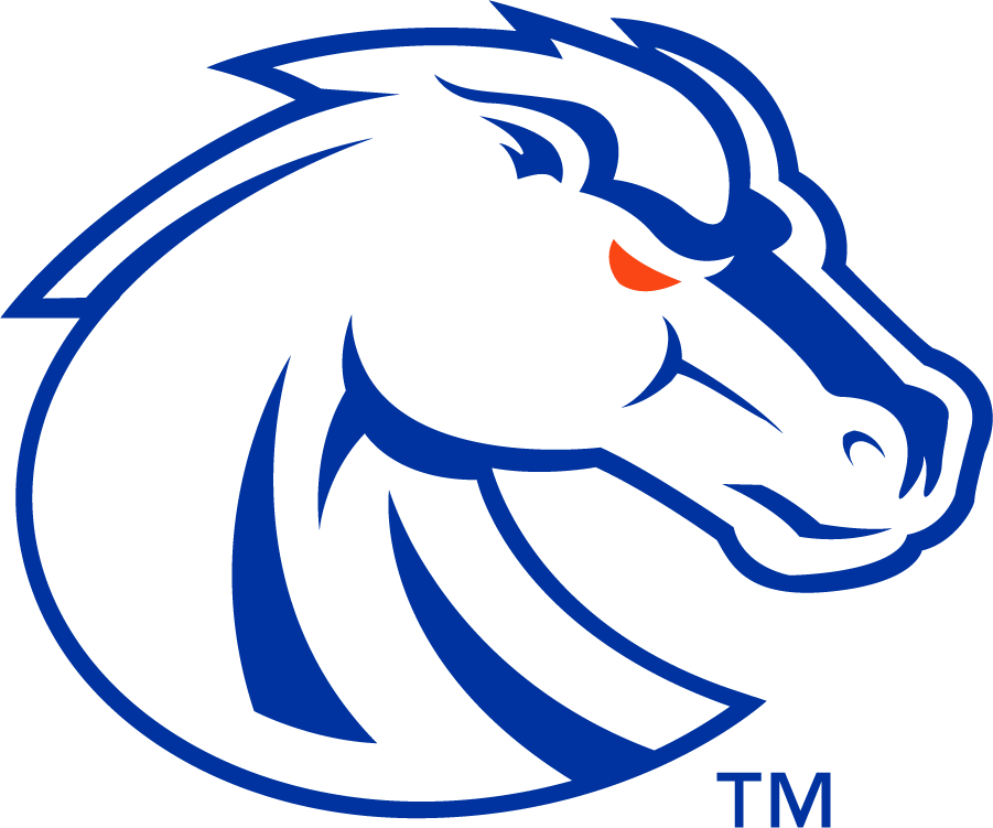 Boise State Broncos 2013-Pres Secondary Logo v4 diy iron on heat transfer